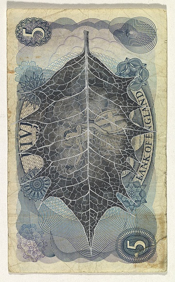 Artist: b'HALL, Fiona' | Title: b'Ilex aquifolium - English holly (English currency)' | Date: 2000 - 2002 | Technique: b'gouache' | Copyright: b'\xc2\xa9 Fiona Hall' Artist: b'HALL, Fiona' | Title: b'Ilex aquifolium - English holly (English currency)' | Date: 2000 - 2002 | Technique: b'gouache' | Copyright: b'\xc2\xa9 Fiona Hall'