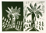 Artist: b'Shearer, Mitzi.' | Title: b'In the forest' | Date: 1977 | Technique: b'linocut, printed in green ink, from two blocks'