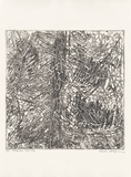 Artist: MEYER, Bill | Title: Bleached acid day | Date: 1981 | Technique: open bite etching and aquatint, printed in black ink, from one plate; engraved details | Copyright: © Bill Meyer