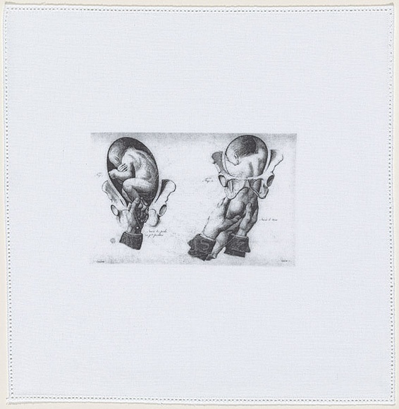 Artist: b'Lohse, Kate.' | Title: b'not titled' | Date: 2003 | Technique: b'screenprint, printed in black ink, from one screen'