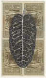 Artist: HALL, Fiona | Title: Rumex crispus - Dock (German currency) | Date: 2000 - 2002 | Technique: gouache | Copyright: © Fiona Hall