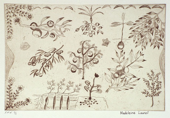 Artist: b'Laurel, Madeleine Yangkana.' | Title: b'Food from different places: from sandhill, from creek, from flatcountry, from river' | Date: 2001, August - September | Technique: b'etching, printed in sepia ink, from one plate' Artist: b'Laurel, Madeleine Yangkana.' | Title: b'Food from different places: from sandhill, from creek, from flatcountry, from river' | Date: 2001, August - September | Technique: b'etching, printed in sepia ink, from one plate'