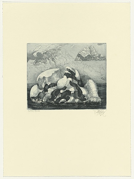 Artist: b'SCHMEISSER, Jorg' | Title: b'Twister' | Date: 1998 | Technique: b'etching, printed in blue/black ink, from one plate' | Copyright: b'\xc2\xa9 J\xc3\xb6rg Schmeisser' Artist: b'SCHMEISSER, Jorg' | Title: b'Twister' | Date: 1998 | Technique: b'etching, printed in blue/black ink, from one plate' | Copyright: b'\xc2\xa9 J\xc3\xb6rg Schmeisser'