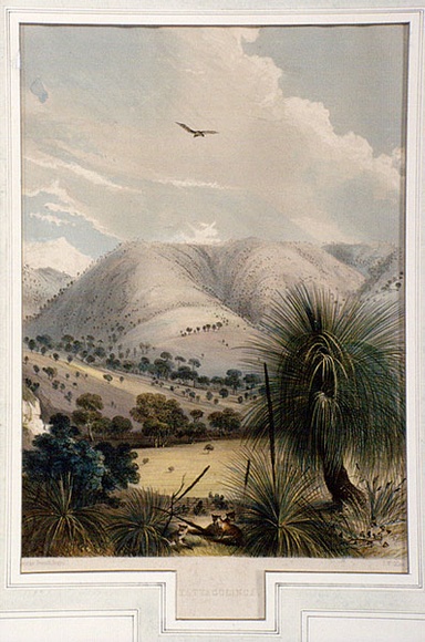 Artist: b'Angas, George French.' | Title: b'Yattagolinga.' | Date: 1846-47 | Technique: b'lithograph, printed in colour, from multiple stones; varnish highlights by brush' Artist: b'Angas, George French.' | Title: b'Yattagolinga.' | Date: 1846-47 | Technique: b'lithograph, printed in colour, from multiple stones; varnish highlights by brush'
