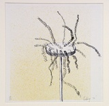 Artist: COLEING, Tony | Title: Drawing for sculpture [3]. | Date: 1970 | Technique: lithograph, printed in sepia ink, from one stone [or plate]