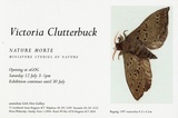 Victoria Clutterbuck : nature morte : minature studies of nature.