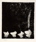 Artist: b'Shearer, Mitzi.' | Title: b'Variation on a theme' | Date: 1978 | Technique: b'etching, printed in black ink, from one  plate'