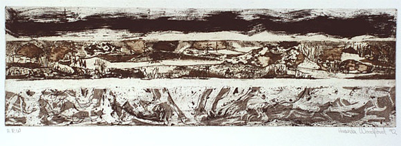 Artist: b'Woodford, Amanda.' | Title: b'not titled (3 horizontal bands of texture)' | Date: 1992 | Technique: b'etching and aquatint, printed in sepia ink, from one plate' Artist: b'Woodford, Amanda.' | Title: b'not titled (3 horizontal bands of texture)' | Date: 1992 | Technique: b'etching and aquatint, printed in sepia ink, from one plate'