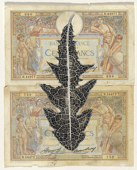 Artist: b'HALL, Fiona' | Title: b'Taraxacum officinale - Dandelion (French currency)' | Date: 2000 - 2002 | Technique: b'gouache' | Copyright: b'\xc2\xa9 Fiona Hall' Artist: b'HALL, Fiona' | Title: b'Taraxacum officinale - Dandelion (French currency)' | Date: 2000 - 2002 | Technique: b'gouache' | Copyright: b'\xc2\xa9 Fiona Hall'