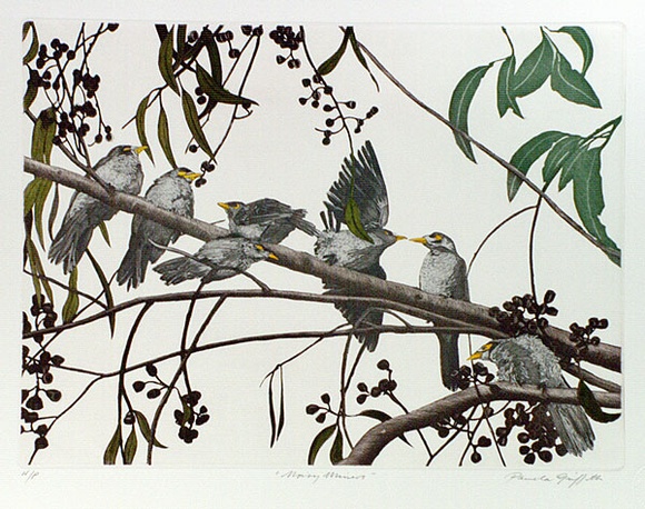 Artist: b'GRIFFITH, Pamela' | Title: b'Noisy Miners' | Date: 1989 | Technique: b'hard ground, aquatint, burnishing, hand tinting on one copper plate' | Copyright: b'\xc2\xa9 Pamela Griffith' Artist: b'GRIFFITH, Pamela' | Title: b'Noisy Miners' | Date: 1989 | Technique: b'hard ground, aquatint, burnishing, hand tinting on one copper plate' | Copyright: b'\xc2\xa9 Pamela Griffith'