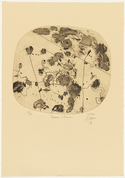 Artist: b'Olsen, John.' | Title: b'Flowers and storm' | Date: 1976 | Technique: b'aquatint and deep etching, printed in warm black ink with plate-tone, from one plate' | Copyright: b'\xc2\xa9 John Olsen. Licensed by VISCOPY, Australia' Artist: b'Olsen, John.' | Title: b'Flowers and storm' | Date: 1976 | Technique: b'aquatint and deep etching, printed in warm black ink with plate-tone, from one plate' | Copyright: b'\xc2\xa9 John Olsen. Licensed by VISCOPY, Australia'