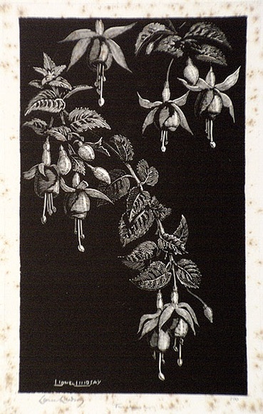 Artist: b'LINDSAY, Lionel' | Title: b'Fuchsias' | Date: 1939 | Technique: b'wood-engraving, printed in black ink, from one block' | Copyright: b'Courtesy of the National Library of Australia' Artist: b'LINDSAY, Lionel' | Title: b'Fuchsias' | Date: 1939 | Technique: b'wood-engraving, printed in black ink, from one block' | Copyright: b'Courtesy of the National Library of Australia'