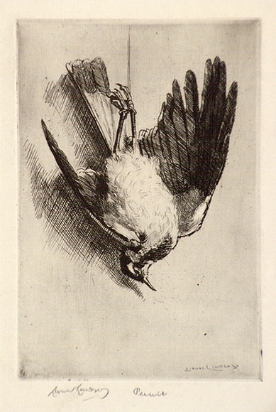Artist: LINDSAY, Lionel | Title: Peewit | Date: 1916 | Technique: etching, printed in warm black ink with plate-tone, from one plate | Copyright: Courtesy of the National Library of Australia