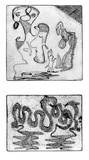 Artist: SHEARER, Mitzi | Title: They pleaded ignorance | Date: 1984 | Technique: etching, printed in black, with plate-tone, from two plates (two images)