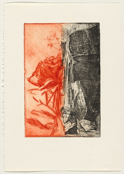 Artist: b'ARNOLD, Raymond' | Title: b'Artificial nature VI.' | Date: c.1993 | Technique: b'etching, printed in red and black ink, from two plates' Artist: b'ARNOLD, Raymond' | Title: b'Artificial nature VI.' | Date: c.1993 | Technique: b'etching, printed in red and black ink, from two plates'