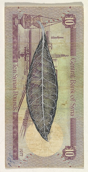Artist: b'HALL, Fiona' | Title: b'Olea europaea - Olive (Syrian currency)' | Date: 2000 - 2002 | Technique: b'gouache' | Copyright: b'\xc2\xa9 Fiona Hall' Artist: b'HALL, Fiona' | Title: b'Olea europaea - Olive (Syrian currency)' | Date: 2000 - 2002 | Technique: b'gouache' | Copyright: b'\xc2\xa9 Fiona Hall'
