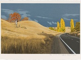 Artist: b'Rose, David.' | Title: b'On the road to Oberon' | Date: 1994 | Technique: b'screenprint, printed in colour, from multiple screens'