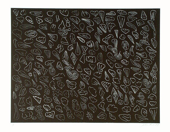 Artist: b'JACKS, Robert' | Title: b'not titled.' | Date: 1989 | Technique: b'etching, printed in black ink, from one plate'