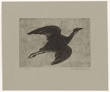 Artist: WILLIAMS, Fred | Title: Night heron | Date: 1962 | Technique: etching, aquatint and engraving, printed in black ink, from one copper plate | Copyright: © Fred Williams Estate