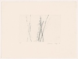 Artist: MOSS, Damian | Title: Trees 4 | Date: 2004 | Technique: etching, printed in black ink, from one plate