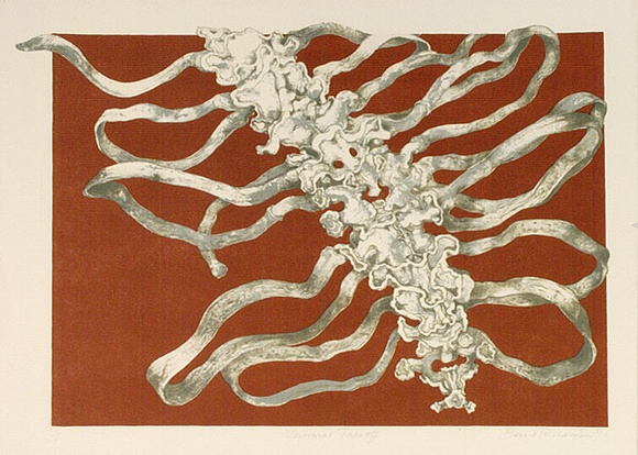 Artist: b'RICHARDSON, Berris' | Title: b'Vertibral takeoff' | Date: 1977 | Technique: b'lithograph, printed in colour, from three stones' Artist: b'RICHARDSON, Berris' | Title: b'Vertibral takeoff' | Date: 1977 | Technique: b'lithograph, printed in colour, from three stones'