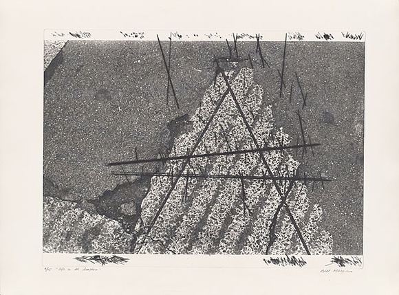 Artist: b'MEYER, Bill' | Title: b'Life in the Diaspora' | Date: 1981 | Technique: b'photo-etching, aquatint, drypoint, printed in black ink, from one zinc plate (mitsui pre-coated photo plate)' | Copyright: b'\xc2\xa9 Bill Meyer' Artist: b'MEYER, Bill' | Title: b'Life in the Diaspora' | Date: 1981 | Technique: b'photo-etching, aquatint, drypoint, printed in black ink, from one zinc plate (mitsui pre-coated photo plate)' | Copyright: b'\xc2\xa9 Bill Meyer'