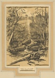 Artist: PROUT, John Skinner | Title: Lower Fall Willoughby, North Shore, Sydney | Date: 1842 | Technique: lithograph, printed in colour, from multiple stones [or plates]