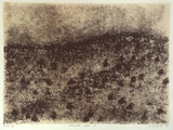 Artist: Lankester, Jo. | Title: Homestead gorge II | Date: 1996, July | Technique: lithograph, printed in black ink, from one stone; cream tint