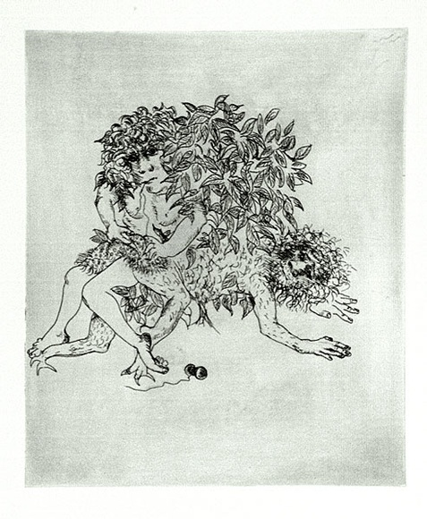 Artist: b'BOYD, Arthur' | Title: b'Story of a ruined man.' | Date: c.1970 | Technique: b'etching, printed in black ink, from one plate' | Copyright: b'Reproduced with permission of Bundanon Trust' Artist: b'BOYD, Arthur' | Title: b'Story of a ruined man.' | Date: c.1970 | Technique: b'etching, printed in black ink, from one plate' | Copyright: b'Reproduced with permission of Bundanon Trust'