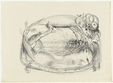 Artist: BOYD, Arthur | Title: not titled [Nude female on sofa with beast]. | Date: 1960-70 | Technique: lithograph, printed in black ink, from one stone [or plate] | Copyright: Reproduced with permission of Bundanon Trust