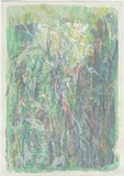 Artist: MEYER, Bill | Title: Porcupine Ridge green | Date: 1988 | Technique: screenprint, printed in colour, from multiple stencils | Copyright: © Bill Meyer