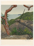 Artist: ROSE, David | Title: Bush at Bouddi | Date: 1985 | Technique: screenprint, printed in colour, from multiple stencils