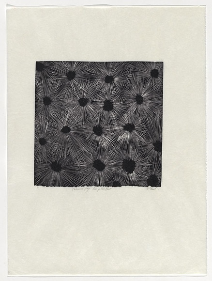 Artist: b'Head, Rachel.' | Title: b'Patterned page from pillow book' | Technique: b'linocut, printed in black ink, from one block'