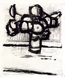 Artist: MADDOCK, Bea | Title: Flowers | Date: 1961 | Technique: etching and sugarlift aquatint, printed in black ink with plate-tone, from one zinc plate