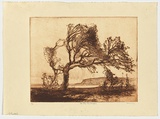 Artist: b'Long, Sydney.' | Title: b'Dee Why landscape' | Date: 1928 | Technique: b'line-etching, printed in red-brown ink with plate-tone, from one zinc plate' | Copyright: b'Reproduced with the kind permission of the Ophthalmic Research Institute of Australia'