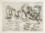 Artist: b'Shearer, Mitzi.' | Title: b'They pleaded ignorance. First part' | Date: c.1984 | Technique: b'etching, printed in black ink with plate-tone, from one  plate'