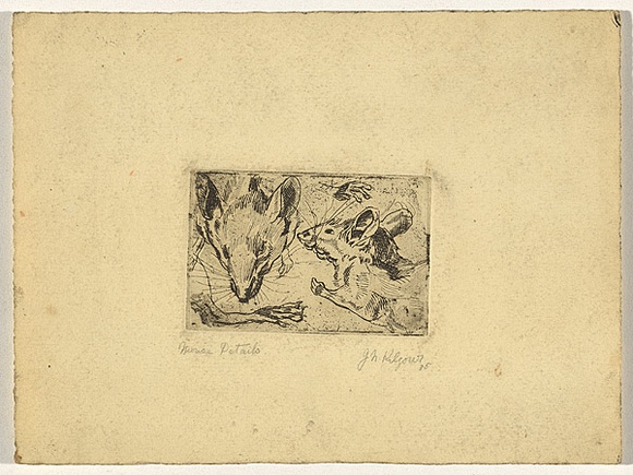 Artist: b'Kilgour, J. Noel.' | Title: b'Mouse portraits' | Date: (1936) | Technique: b'etching, printed in black ink, from one plate'