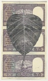 Artist: HALL, Fiona | Title: Ficus religiosa - Bo tree (Indian currency) | Date: 2000 - 2002 | Technique: gouache | Copyright: © Fiona Hall