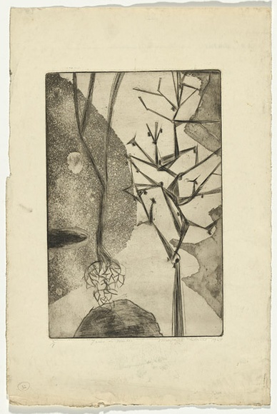 Artist: b'Cilento, Margaret.' | Title: b'Trees in winter.' | Date: 1949 | Technique: b'etching, aquatint, drypoint, printed in black ink with plate-tone, from one plate' Artist: b'Cilento, Margaret.' | Title: b'Trees in winter.' | Date: 1949 | Technique: b'etching, aquatint, drypoint, printed in black ink with plate-tone, from one plate'