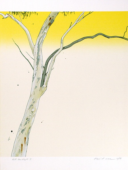 Artist: b'Rose, David.' | Title: b'Eucalypt II' | Date: 1975 | Technique: b'screenprint, printed in colour, from multiple stencils' Artist: b'Rose, David.' | Title: b'Eucalypt II' | Date: 1975 | Technique: b'screenprint, printed in colour, from multiple stencils'