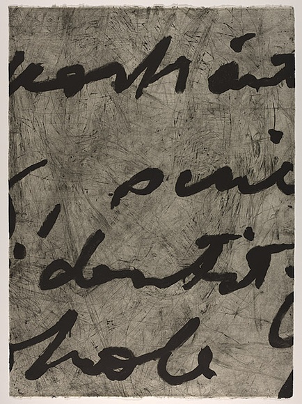 Artist: b'PARR, Mike' | Title: b'Language and chaos 3.' | Date: 1990 | Technique: b'drypoint, electric grinder and burnishing, printed in black ink, from one copper plate; over printed with lift ground aquatint, printed in black ink, from one steel plate' Artist: b'PARR, Mike' | Title: b'Language and chaos 3.' | Date: 1990 | Technique: b'drypoint, electric grinder and burnishing, printed in black ink, from one copper plate; over printed with lift ground aquatint, printed in black ink, from one steel plate'