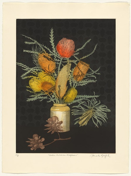 Artist: b'GRIFFITH, Pamela' | Title: b'Western Australian Wild Flowers' | Date: 1987 | Technique: b'hardground-etching and aquatint, printed in colour, from two zinc plates' | Copyright: b'\xc2\xa9 Pamela Griffith' Artist: b'GRIFFITH, Pamela' | Title: b'Western Australian Wild Flowers' | Date: 1987 | Technique: b'hardground-etching and aquatint, printed in colour, from two zinc plates' | Copyright: b'\xc2\xa9 Pamela Griffith'