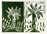 Artist: b'Shearer, Mitzi.' | Title: b'In the forest' | Date: 1977 | Technique: b'linocut, printed in green ink, from two blocks'