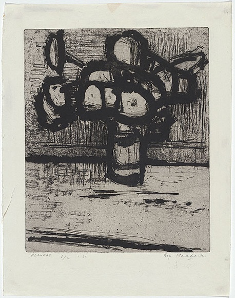 Artist: b'MADDOCK, Bea' | Title: b'Flowers' | Date: 1961 | Technique: b'etching and sugarlift aquatint, printed in black ink with plate-tone, from one zinc plate' Artist: b'MADDOCK, Bea' | Title: b'Flowers' | Date: 1961 | Technique: b'etching and sugarlift aquatint, printed in black ink with plate-tone, from one zinc plate'