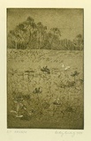 Artist: Bray, Betty. | Title: Kakadu. | Date: 1984 | Technique: aquatint, etching, roulette printed in green ink, from one copper/plate