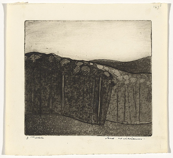 Artist: b'WILLIAMS, Fred' | Title: b'Forest at Almerton. Number 2' | Date: 1962 | Technique: b'aquatint, etching, engraving, drypoint, printed in black ink from one copper plate' | Copyright: b'\xc2\xa9 Fred Williams Estate' Artist: b'WILLIAMS, Fred' | Title: b'Forest at Almerton. Number 2' | Date: 1962 | Technique: b'aquatint, etching, engraving, drypoint, printed in black ink from one copper plate' | Copyright: b'\xc2\xa9 Fred Williams Estate'