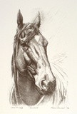 Artist: Barlow, Peter. | Title: Manikato | Date: 1986 | Technique: lithograph, printed in black ink, from one stone