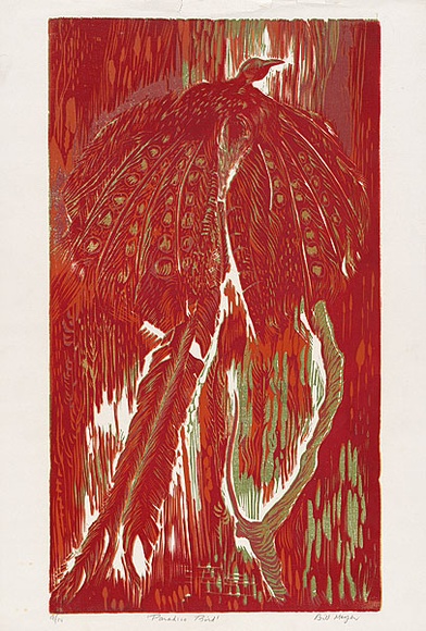 Artist: b'MEYER, Bill' | Title: b'Paradise bird' | Date: 1968 | Technique: b'woodcut, printed in four colours, from reduction block process' | Copyright: b'\xc2\xa9 Bill Meyer' Artist: b'MEYER, Bill' | Title: b'Paradise bird' | Date: 1968 | Technique: b'woodcut, printed in four colours, from reduction block process' | Copyright: b'\xc2\xa9 Bill Meyer'