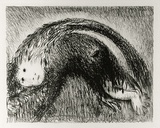 Artist: b'BOYD, Arthur' | Title: b'The Wolf of Gubbio with St Francis in a bent tree.' | Date: (1965) | Technique: b'lithograph, printed in black ink, from one plate' | Copyright: b'Reproduced with permission of Bundanon Trust'