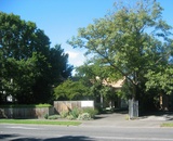 Artist: Butler, Roger | Title: Entrance to Papergraphica gallery and print workshop, Christchurch, New Zealand, 2008. | Date: 2008